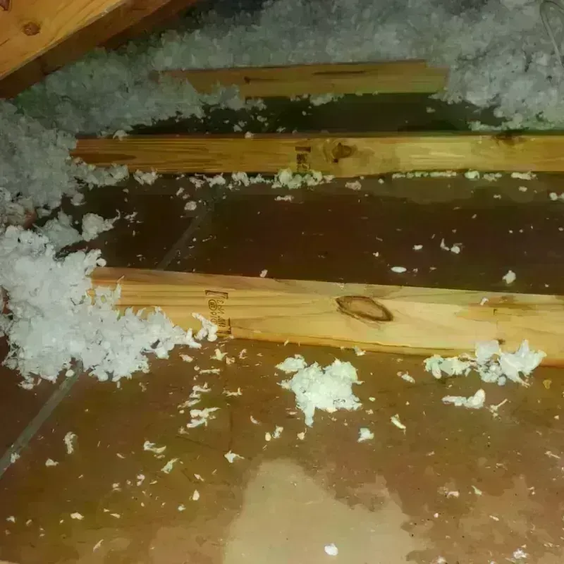 Attic Water Damage in North Ridgeville, OH