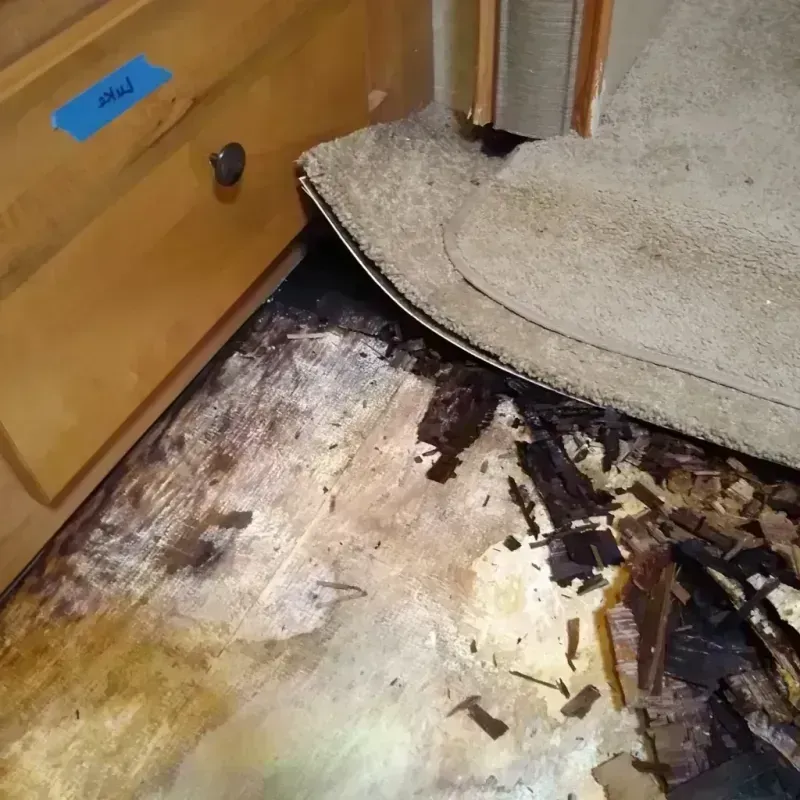 Wood Floor Water Damage in North Ridgeville, OH